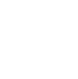 youtube icon